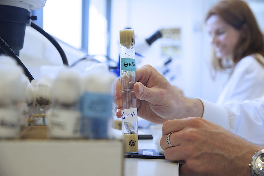 An item in a lab with a researcher in the background