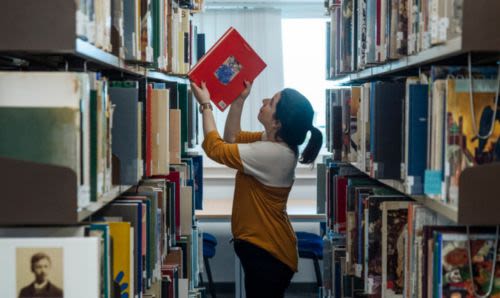 Art and Archaeology Library